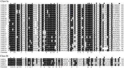 Genome-wide identification and expression analysis of the AS2/LOB gene family in physic nut